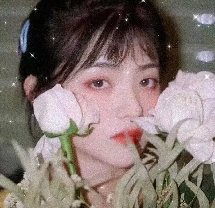 万星拱照百老汇